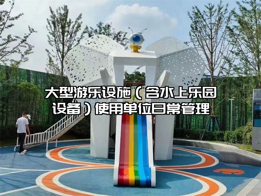 大型游樂設施（含水上樂園設備）使用單位日常管理