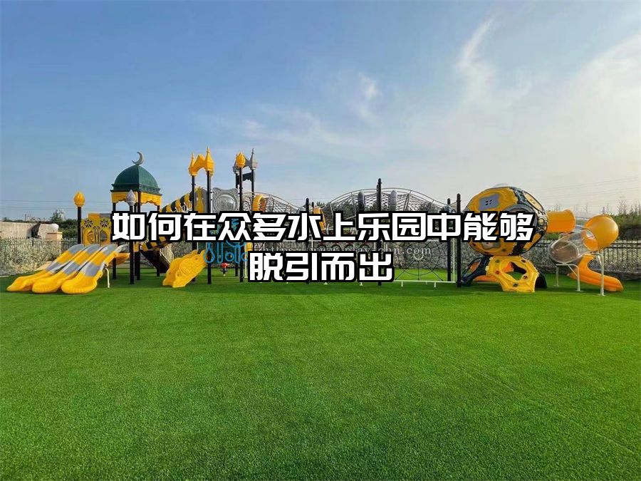 如何在眾多水上樂(lè)園中能夠脫引而出