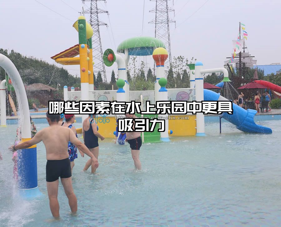 哪些因素在水上樂園中更具吸引力