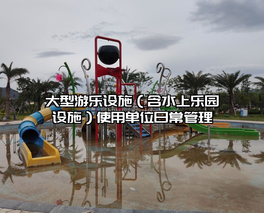 大型游樂設施（含水上樂園設施）使用單位日常管理