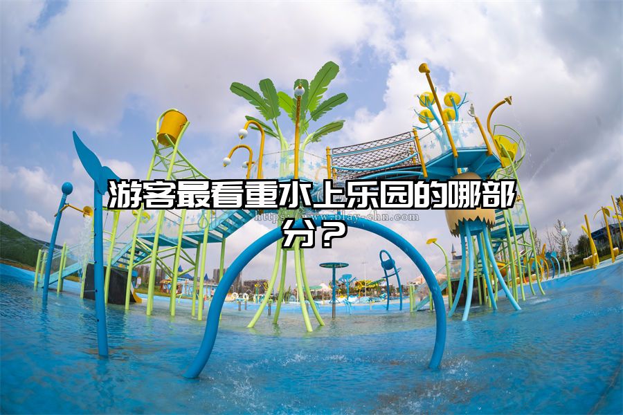 游客最看重水上樂園的哪部分？