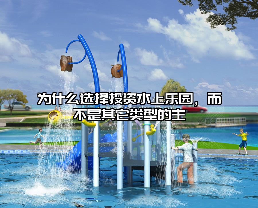 為什么選擇投資水上樂園，而不是其它類型的主
